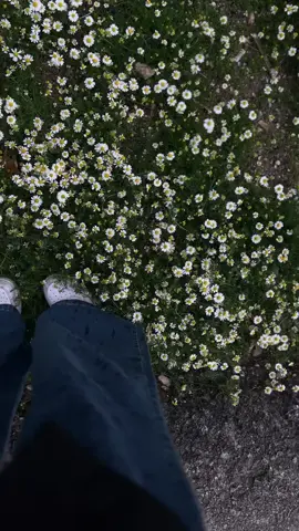 The winter weather is very beautiful #طششونيي🔫🥺😹💞 #احبكم_يا_احلى_متابعين 