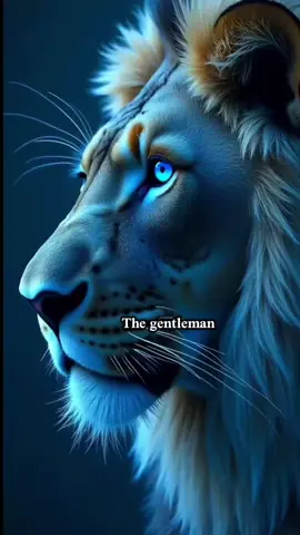 غيابنا لا يعني الانسحاب فالغابة نعرفها جيدا ونعرف طرقها المظلمة قبل ان يتعلم الاخرون كيف يسيرون فيها. #قتباسات_عبارات_خواطر_  #كلام_صحيح👌💯  #fyp #fypシ゚  #Gentleman 