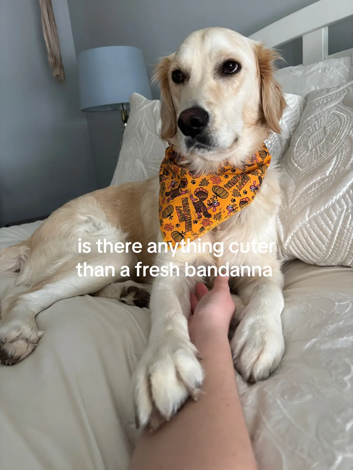 maybe holding hands that’s pretty cute too