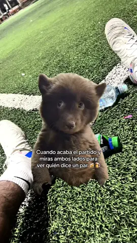 Jajajaja literal #MemeCut #pichanga  #contenido #futbol #viral 