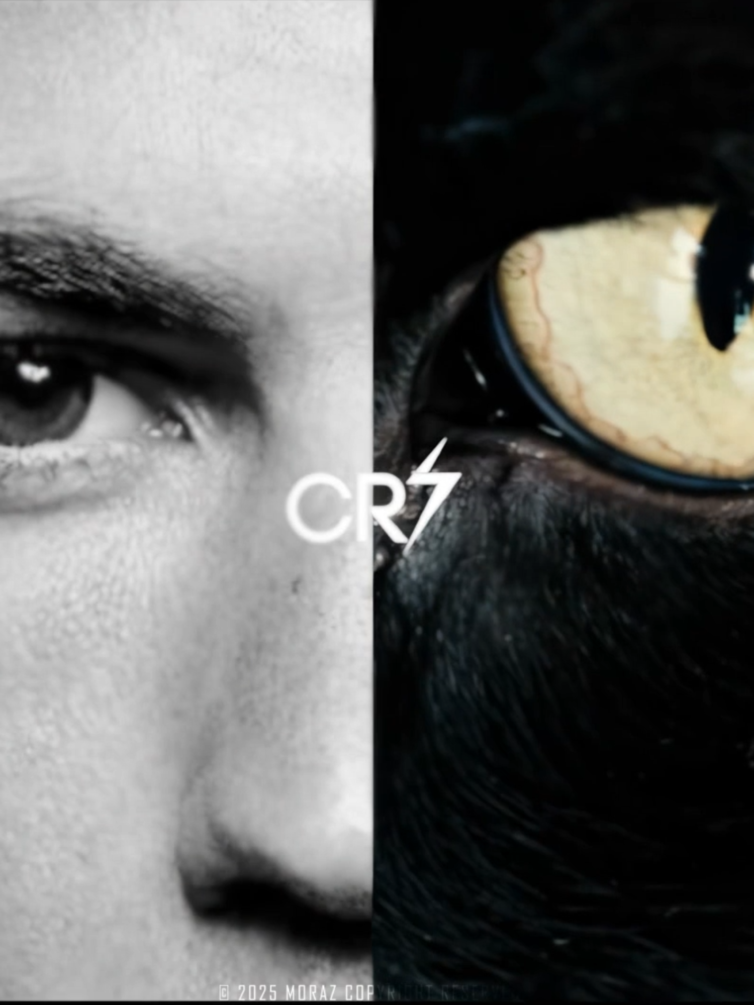 Rottweiler X Ronaldo (Full Edit) II #ronaldo #ronaldoedit #Esdeekid#aesthetic #fyp