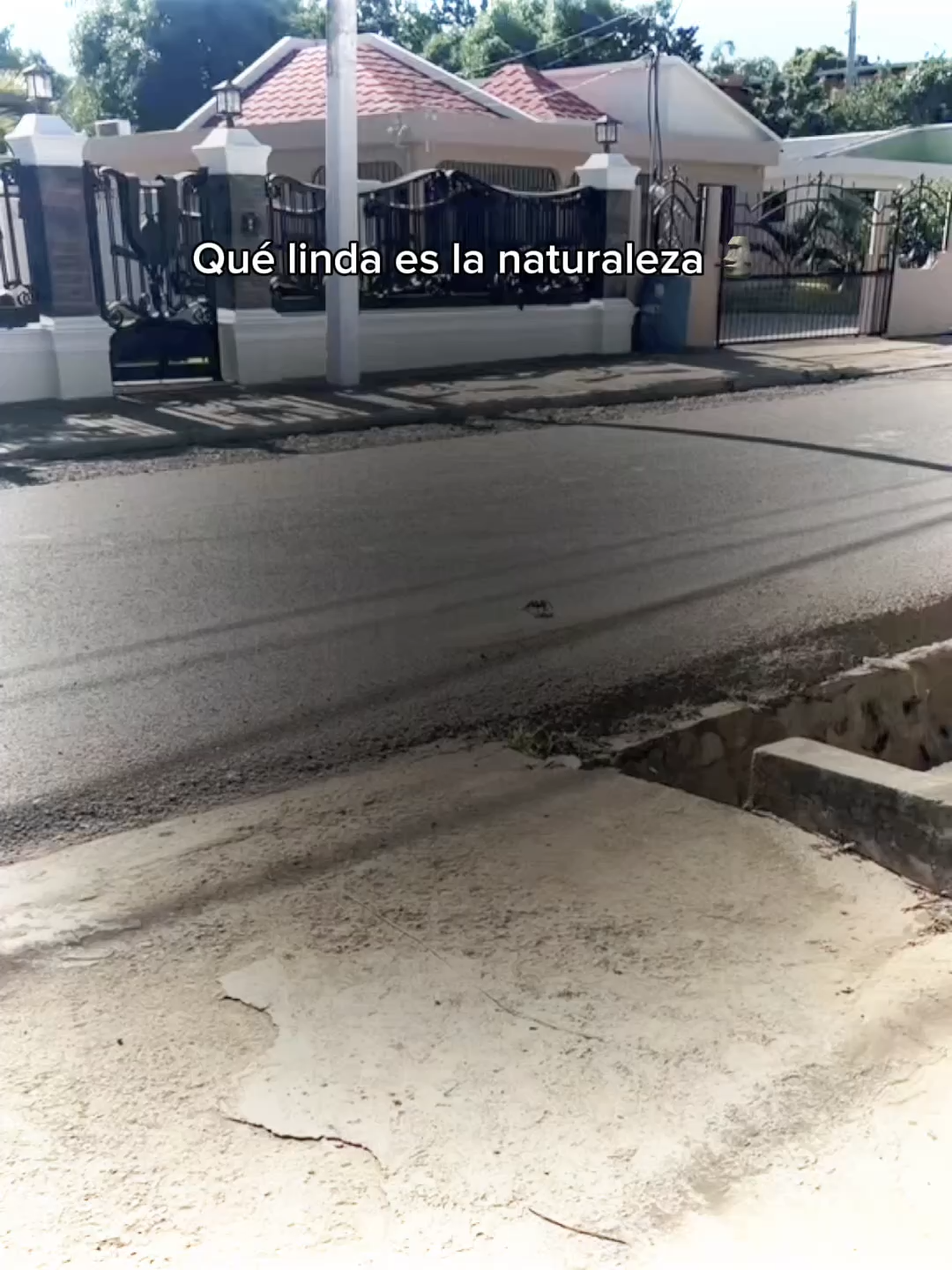 #funk #brazilianphonk #viralllllll #aura #fypシ゚