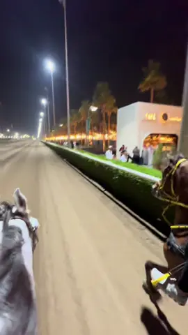 #كحيلان_🐎 #🇰🇼 