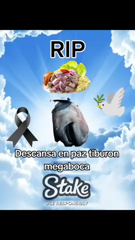 Descansa en paz tiburon megaboca Piura #peru🇵🇪 #humor #fyp #piura #tiburon 
