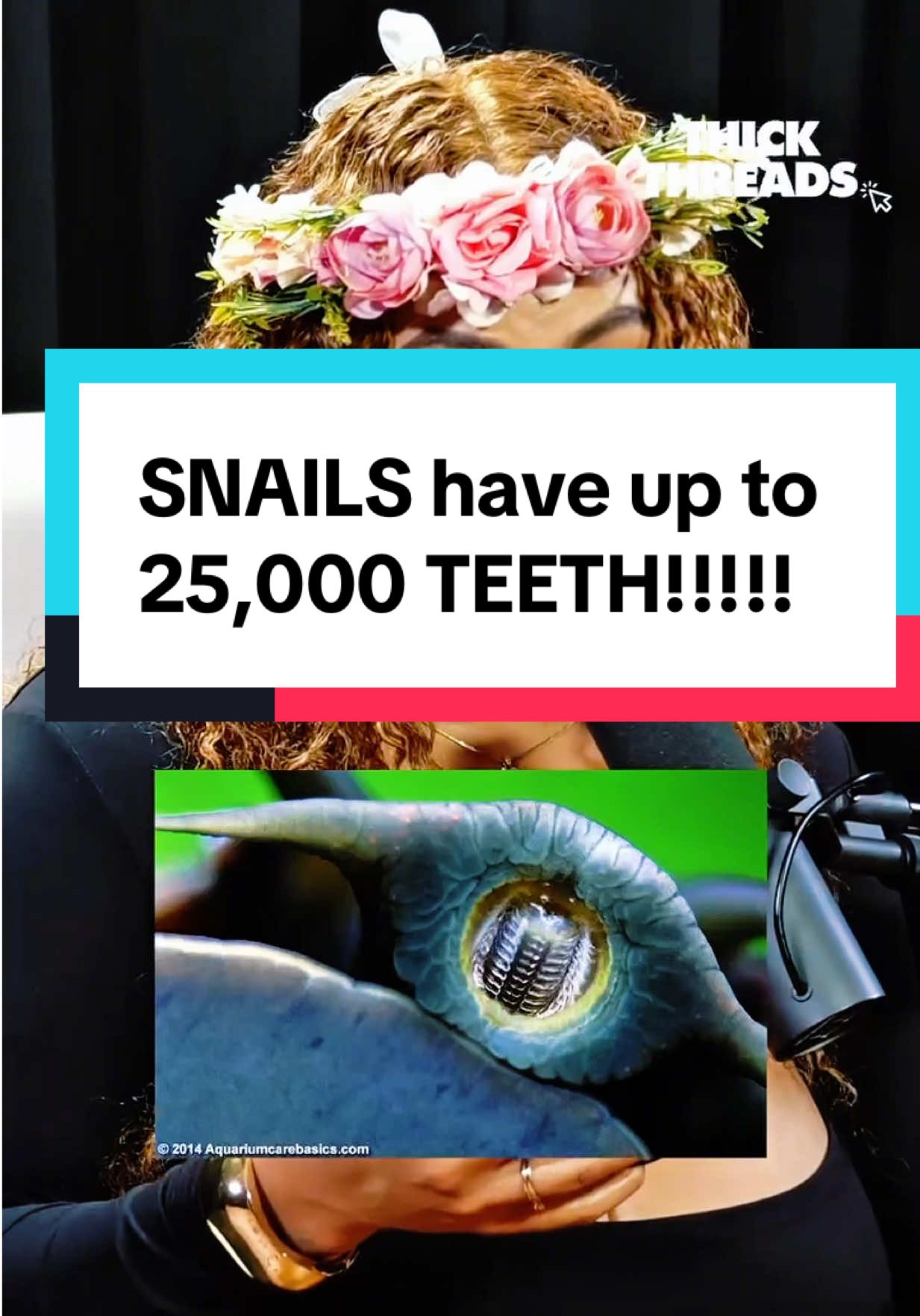 Via @thickthreadspodcast 😂😂