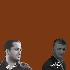 shwana ~ mikeal #inshot #lyric #kurdish #song #shwanamikeal 