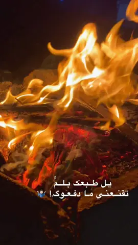 تقنعني ما دفعوكك عليةة!!!!#يـاسـيـن🔥🥀 #تصوير_نار📸🔥 #اشوفك_هم_تجيني #مالي_خلق_احط_هاشتاقات #هواجيس_الليل⬛ 