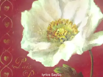 [song: Lay All Your Love on Me – ABBA] #lyricsSaySo #music #transition #abba #layallyourloveonme 