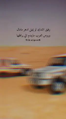 رفيق اشدايد لو يميل ادهر مامال  وروس العرب مايندم الي يرافقها 