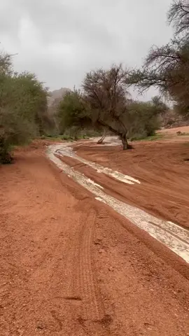 #اجواء_الشتاء #حايل #حائل #امطاراليوم 