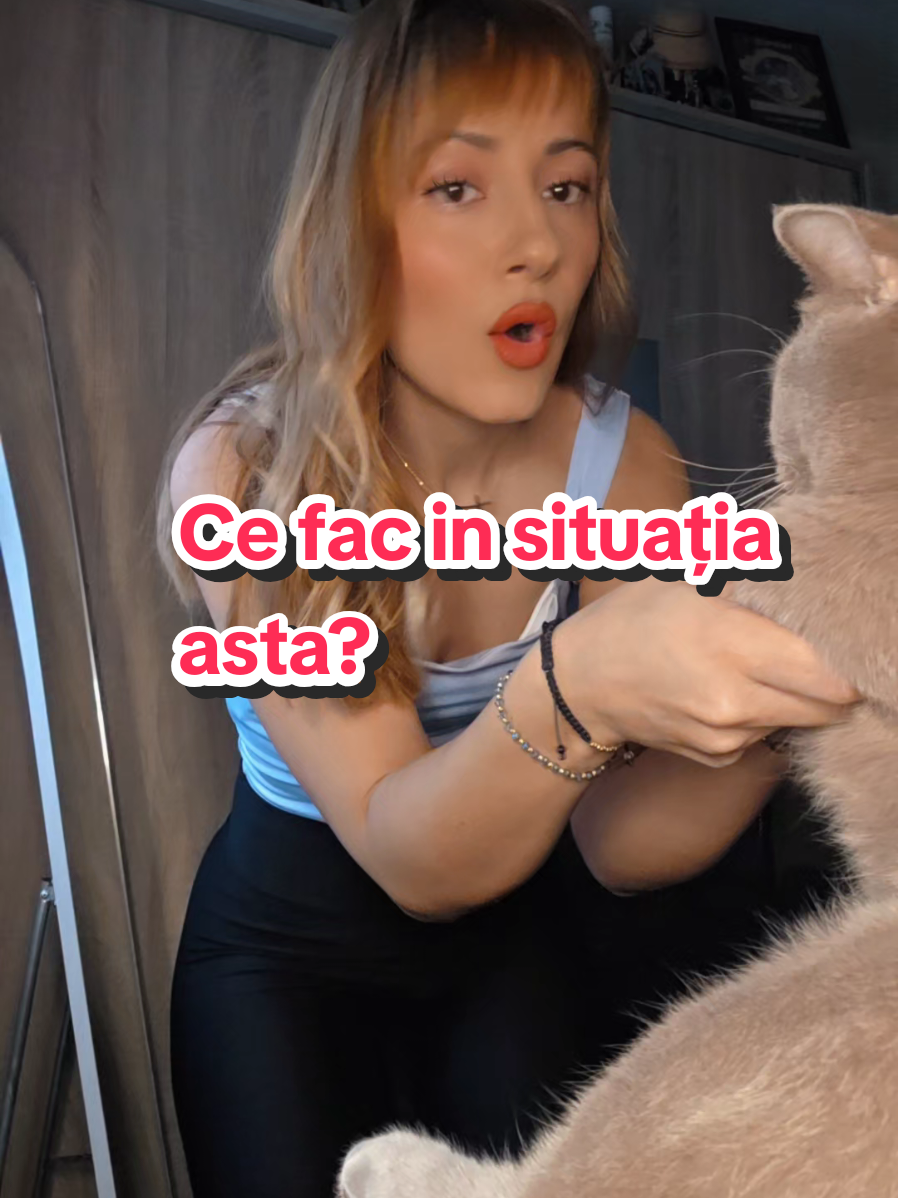 #motan #morocanos #britishhumour #blana #sef 