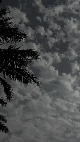 ظل عالقاً في ذاكرتي وكأنه لم يخلق للنسيان ابداً #تصويري📸 #موسيقى #اكسبلورexplore #طرب #explore 