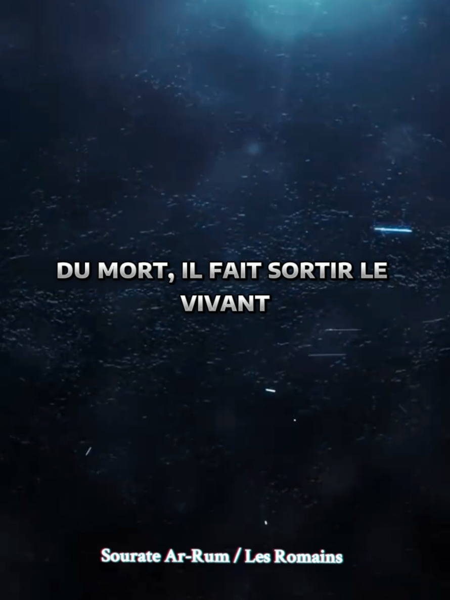 Glorifiez ALLAH donc ✨️ S30v17-19 #coranenfrançais #rum #quran  #coran #Deen 