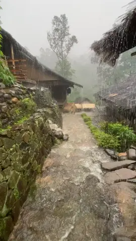 #sampurasun🙏🇮🇩💖 diam bukan berarti ta sayang🙏❤️