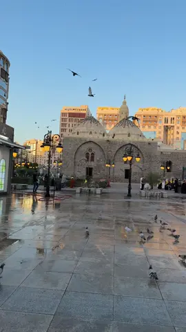 #المدينه_المنوره #طيبه #explore #سبحان_الله_وبحمده_سبحان_الله_العظيم 