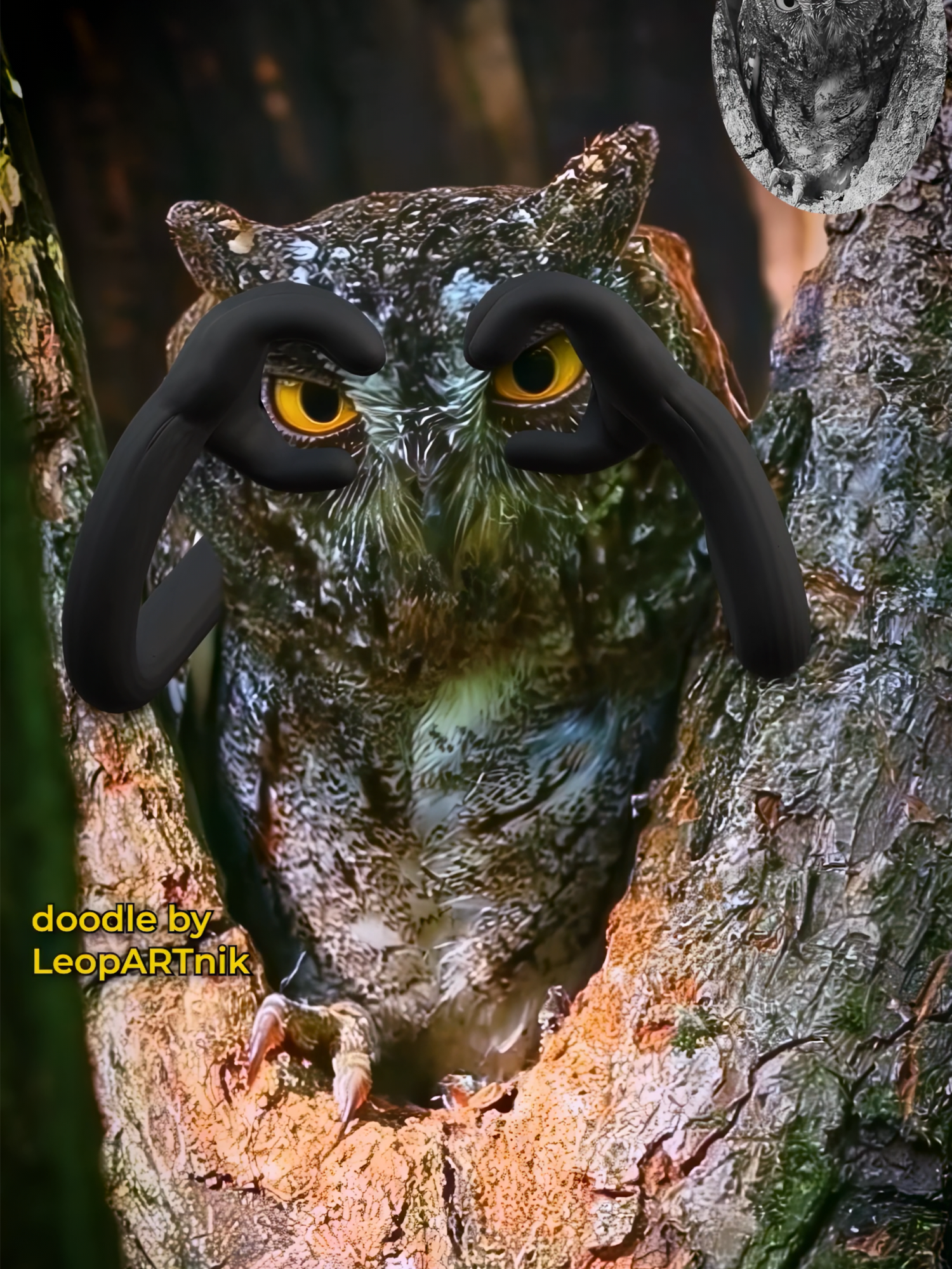 🦉👁️🦉 OWL-BE-WATCHING 🦉👁️🦉 #throwback #leopartnik  Background video source: unknown Animation: #LeopARTnik