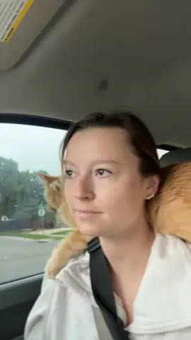 It’s like the dude knew he was heading to get his manly hood chopped off. 😅 