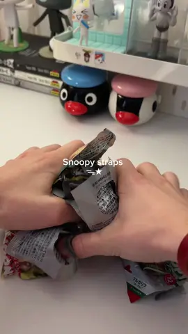 All on my ig torokuroo ( SHIP WORLDWIDE !! ) #trinkets #juminocore #japan #snoopy #laufey 