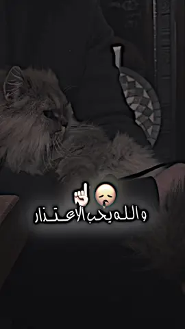 ‏و الله يحب الاعتذار #خالد_الراشد 