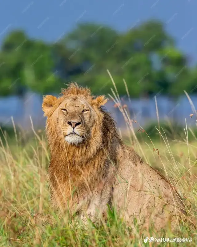 #ناس ف القلب مكانه و ناس تحت الجزمه تمامه سني مش كبير بس اجداع  من ناس كتير#ca🖤✈️pcut 