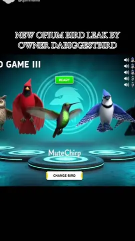i’ve heard it’s the new best bird in the game #fyp #viral #birdgame #birdgame3 #mem 