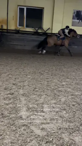 Ось такі справи у Рити..( Дайте будь ласка щось якісь поради( #Бруно #Хаус #Кінний #УКР #Dream 