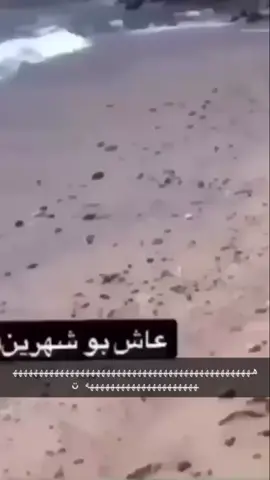 بو شهرينن هههههههههههههههههههههههههههههههههههههههههههههههههههههههههههههہَ ة ˛⁽ “̯؟  ₎ ˛هُ ˛ ❥🖇♥️.. 