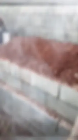 Gülüşü güzel yarim herşeyimiz yarım kaldı ama öbür dünyada tamamlayacağız gidişin olmadı sözün bittiği yerdeyim herşeyle beni başbaşa bıraktın #ölüm 