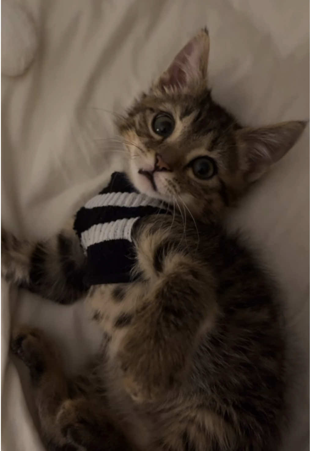 اعشق وجهه مره