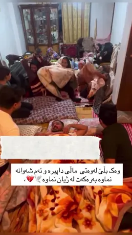 #creatorsearchinsights 