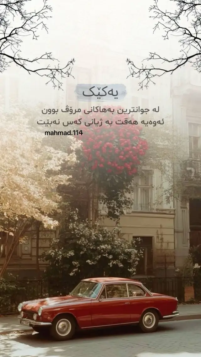 #شاری_______سۆران_____ #سلیمانیه_کةرکوک_اربیل_کردستان_عراق #هەولێر_سلێمانی_دەهۆک_ڕانیه_کەرکوک #