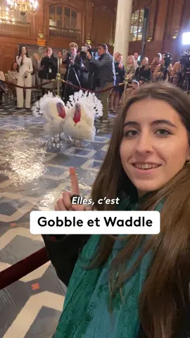 Voici Gobble et Waddle, les dindes les plus chanceuses des États-Unis. En attendant d’être graciées par Donald Trump cet après-midi, les deux gros oiseaux séjournent dans un hôtel 5 étoiles. 📱 @clemence_guimier @kasull02 #sinformersurtiktok