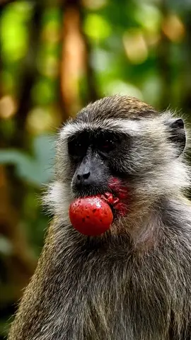 #foryoupage #trending #1millionaudition #ai #fyppppppppppppppppppppppp 