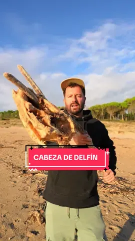 ¿De qué es esta cabeza? Me la encontré en la playa, estuve analizando y no sé de qué es 🤷🏻‍♂️ hoy hacía un día maravilloso, y salí a recoger un poco de basura 🚮  — Música: Synth under the bridge - Heyselcuk