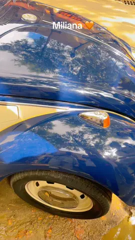 مدينة مليانة ولاية عين الدفلى الأجواء تتكلم 🍁📲 #الشعب_الصيني_ماله_حل😂😂 #مليانة