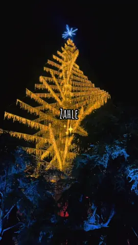 #fyp #foryou #viral #zahle #🇱🇧 