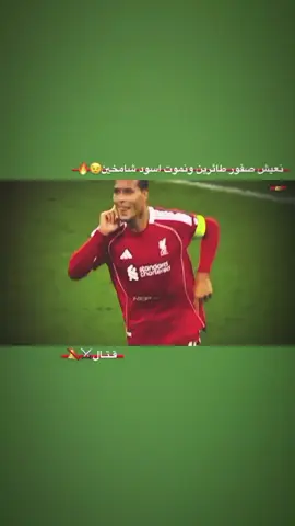 #ها_وليدي_تريد_تعبر🚷🔥 #تعبر_تاخذ_رجلك_بعلاكه #ماكوعبور🚷 #المدافعين #ها_ورده_تريد_تعبر 