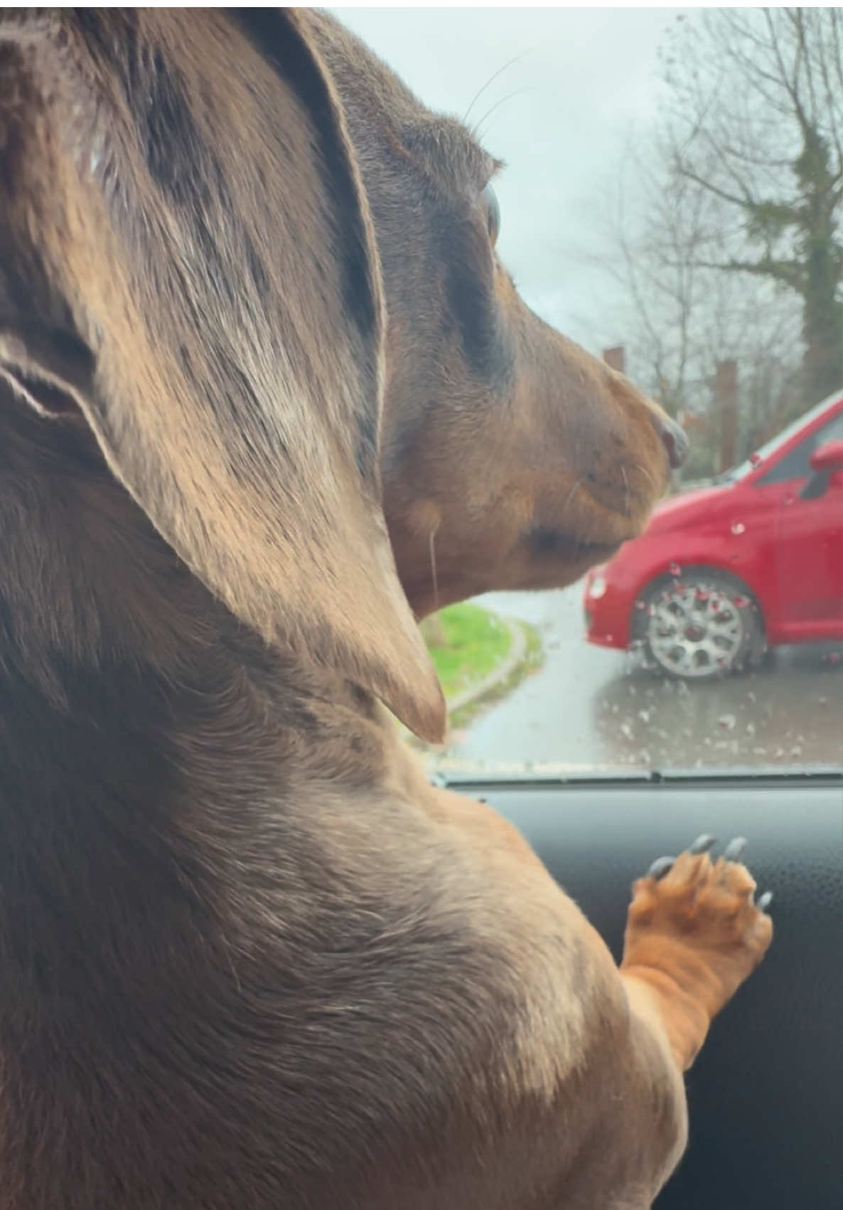 Had a lead in my boot the whole time. 🫠