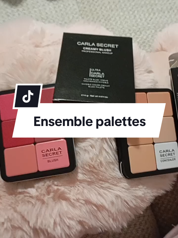 #tiktokshopblackfriday #ouvretesoffres #cybermonday #makeup 