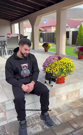 #communityfest2025 #livefest2025 #creatorsearchinsights 