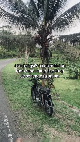 🙌🏻🖤 #c70 #c70downsize #pitungc70 #berandatiktok #foreyoupage 