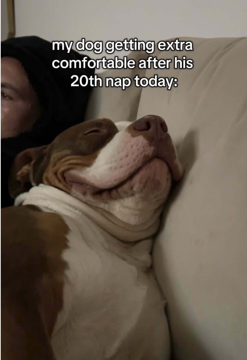 must find the spot 😭😭 #fyp #xlbully #foryoupage❤️❤️ #dogfamily #dogmom 