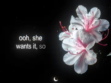 this song>> #aesthetic #songs #lyrics #musicvibes #fyp 