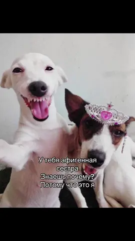 @Варёк🎧🩹 @sssssssssssssofa 