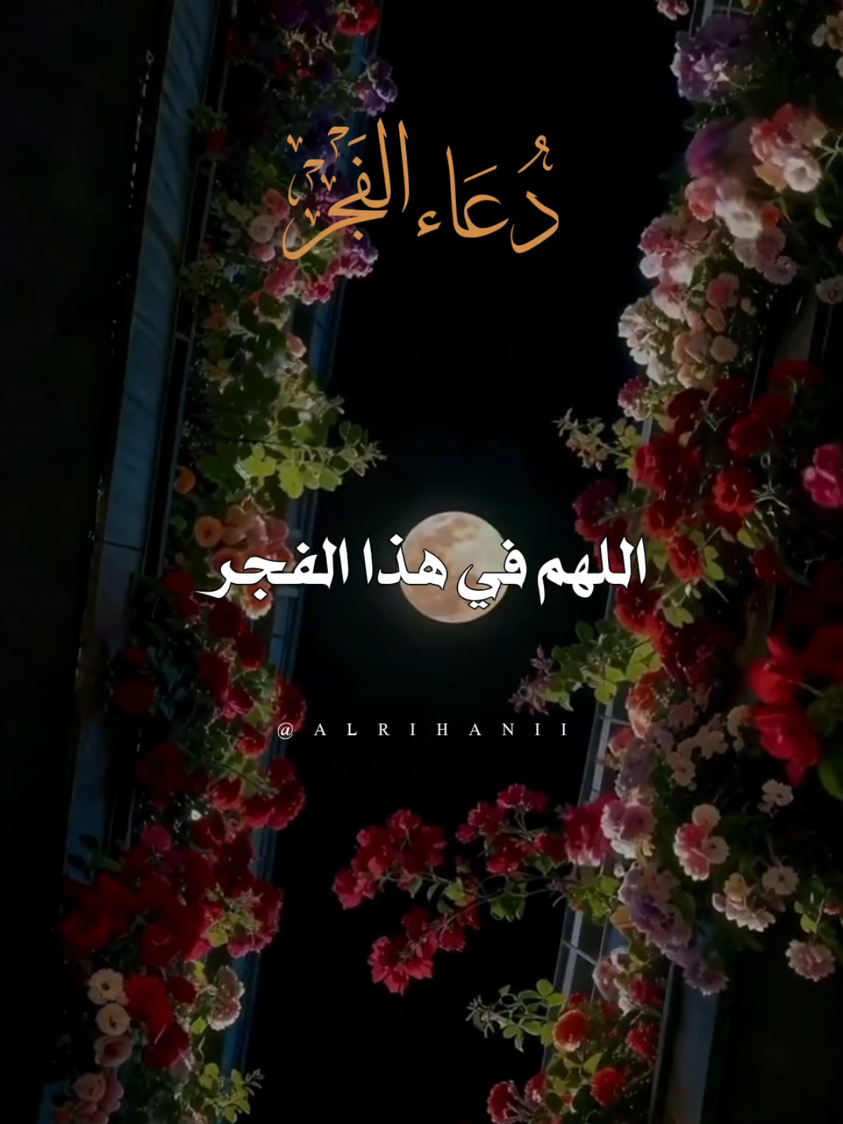 اللهم في هذا الفجر نرفع اكفنا اليك🤲🌹 #دعاء_الفجر #دعاء_جميل #دعاء #اللهم_لك_الحمد_ولك_الشكر #اللهم_امين_يارب_العالمين 