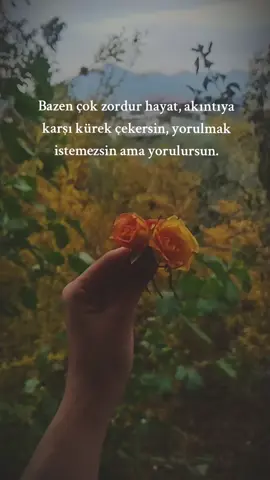 #çiçek #sonbahar #hayat 