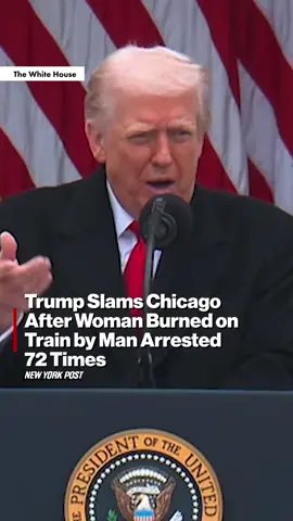 During his Turkey Pardon remarks, Trump brought up the case of Bethany MaGee, the woman burned on a Chicago train, blasting city leaders for allowing a man with 72 prior arrests to remain on the streets.