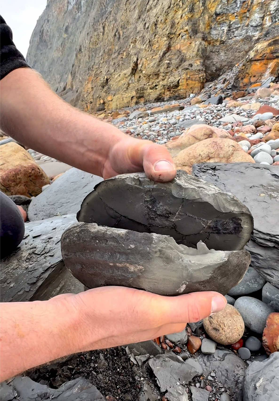 We searched a remote beach for fossils and crystal and found a Jurassic Age ball of rock hidden within a huge loose boulder and opened it up with our trusty hammer 🤯 We found White Calcite Crystal inside! What a treasure! 🏝️ You win some, you lose some! 🌅🦕 Thanks for supporting our page! 🐊 #fossilhunting #crystal #ammonite #beachcombing #fyp