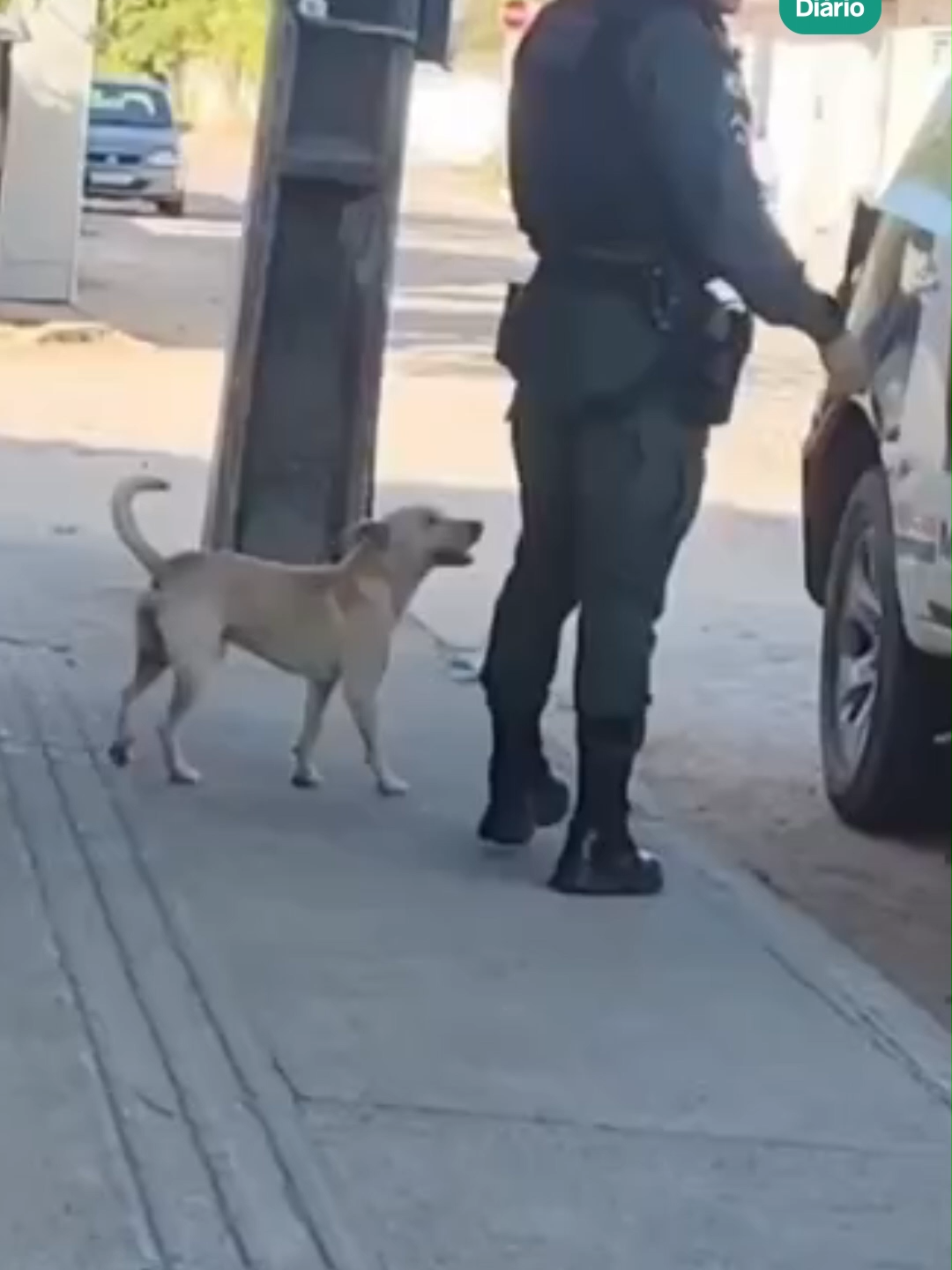 Um vídeo de um cachorro sendo revistado em Fortaleza tem viralizado na internet. Nas imagens, um policial militar do Ceará simula uma 