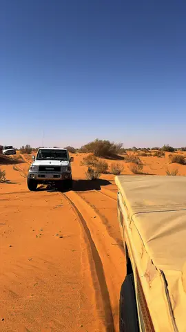 #اكسبلوررررر #تصويري_احترافي_الاجواء👌🏻🕊😴 